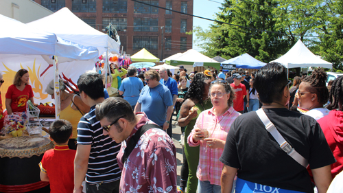 Crowd at Cleveland Asian Festival
