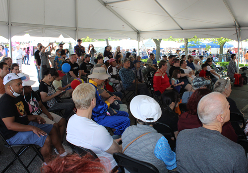 Crowd at Cleveland Asian Festival