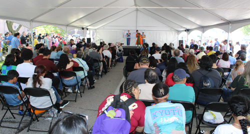 Crowd at Cleveland Asian Festival