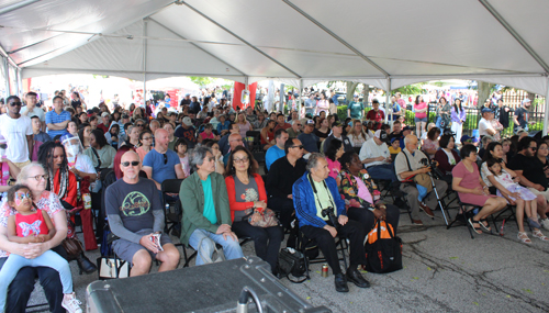 Crowd at Cleveland Asian Festival