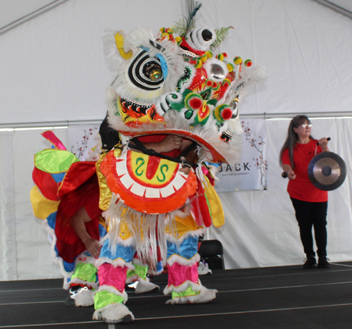 Kwan Family Lion Dance Team at the 2024 Cleveland Asian Festival