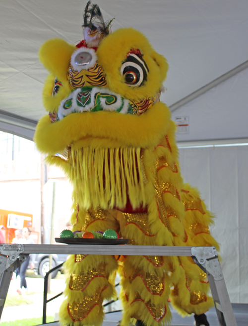 Kwan Family Lion Dance Team at the 2024 Cleveland Asian Festival