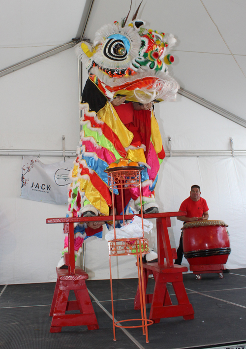 Kwan Family Lion Dance Team at the 2025 Cleveland Asian Festival