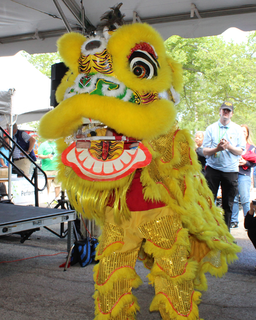 Kwan Family Lion Dance Team at the 2025 Cleveland Asian Festival