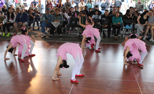 Stellar Acrobatic Dance Academy