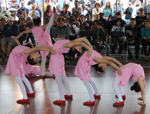 Stellar Acrobatic Dance Academy