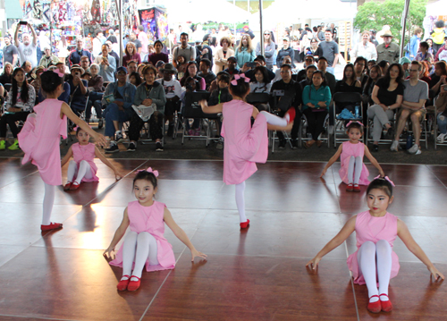 Stellar Acrobatic Dance Academy