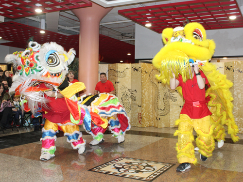 Kwan Family Lion Dance team also performed at the main central stage