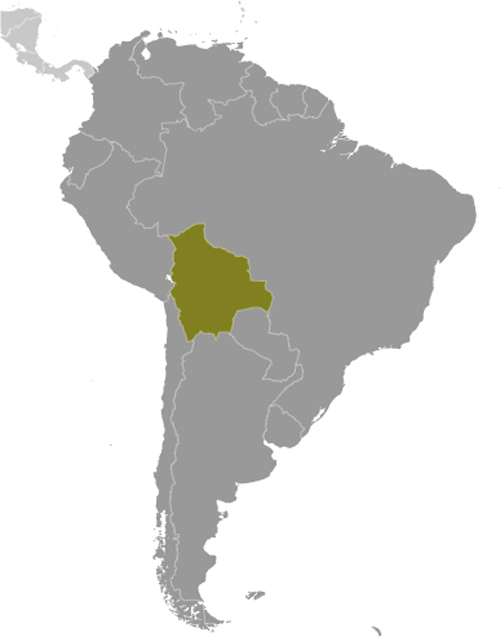 Map of Bolivia