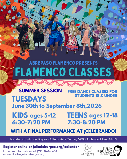 Flamenco class