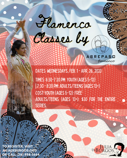 Flamenco Classes