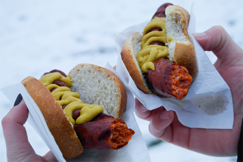 German Beer and Brats