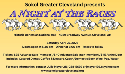 Sokol night at the races