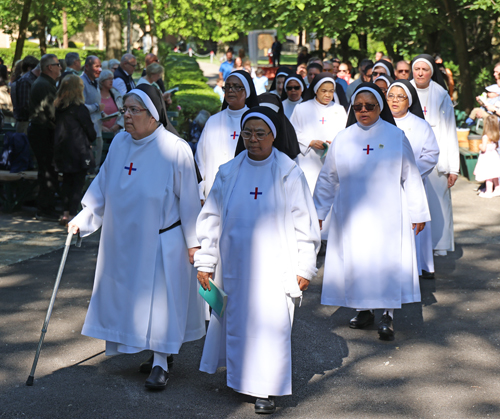 Our Lady of Lourdes Mass Processional