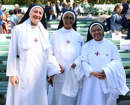 Sisters of the Most Holy Trinity
