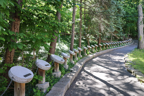 Walking Rosary at Our Lady of Lourdes Shrine