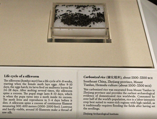 Carbonized Rice