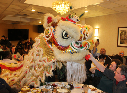 Kwan Family Lion Dance inside Li Wah