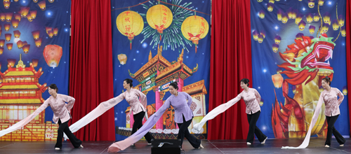 Long Sleeves Chinese Dance and Ballet