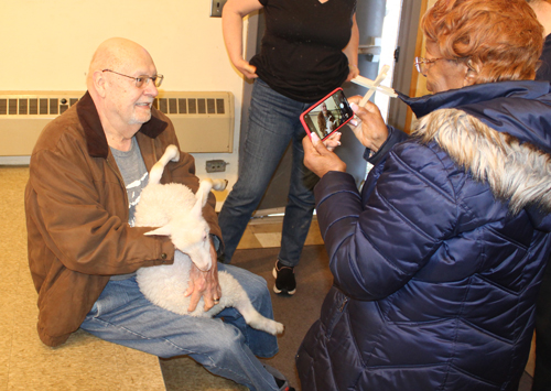 All ages loved the baby lambs