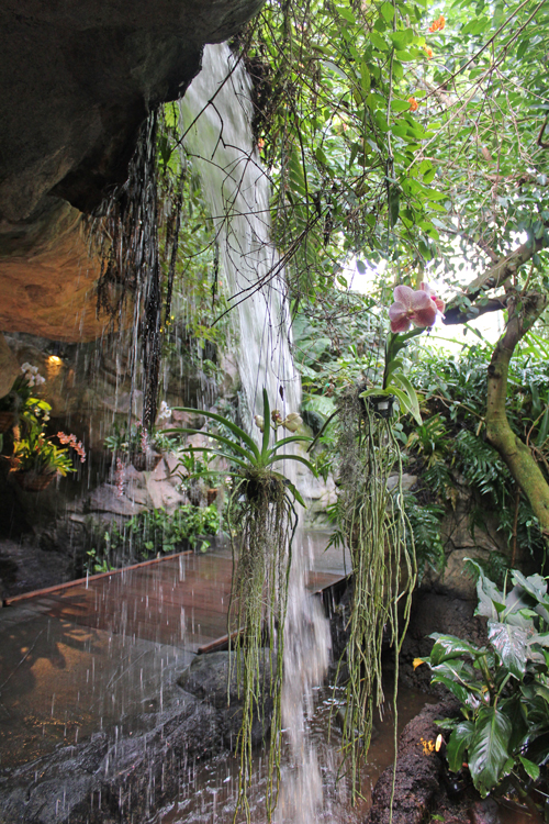 Waterfall in Cloud Forest of Costa Rica in Cleveland Botanical Garden
