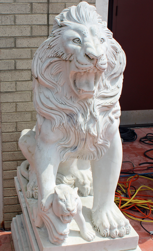 Lion outside of St Mark's Coptic Orthodox Church