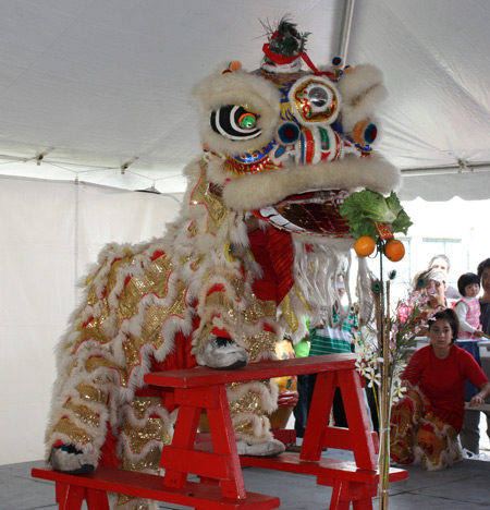 Kwan Family Chinese Lion Dance at Cleveland Asian Festival