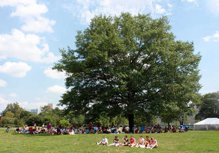 2010 International Folk Fest crowd in Cleveland