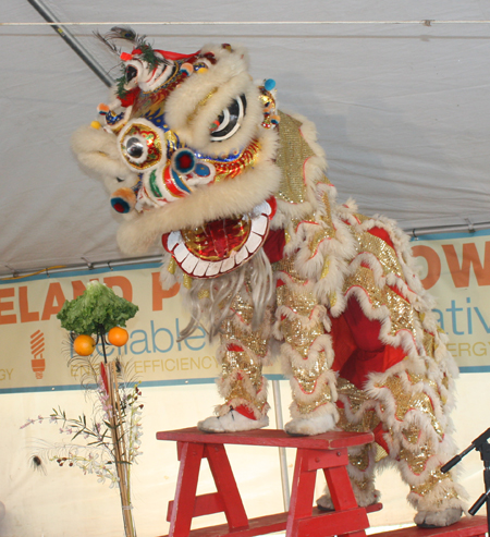 Kwan Family Lion Dance