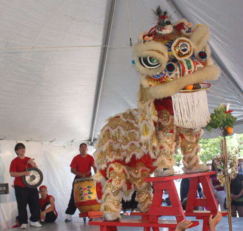 Chinese Lion Dance by Kwan Family