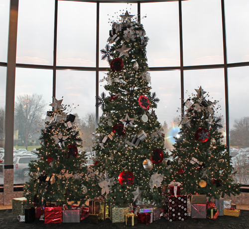 Christmas Trees at Landerhaven