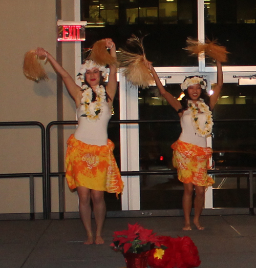 Hula Fusion Polynesian Dancers