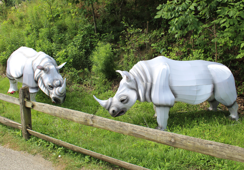Rhinos Asian Lantern scene at Cleveland Metroparks Zoo