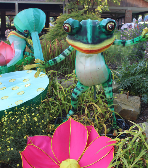 Asian Lantern scene at Cleveland Metroparks Zoo