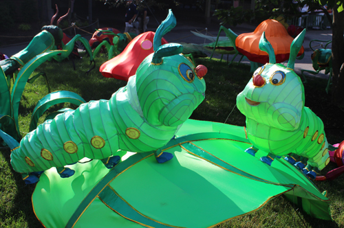 Asian Lantern Fest scene