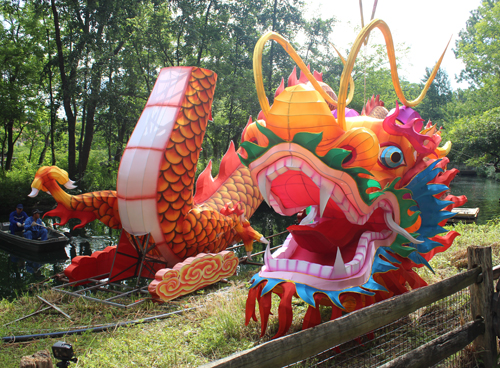 Putting the head on a 200' dragon at the Asian Lantern Festival at Cleveland Metroparks Zoo