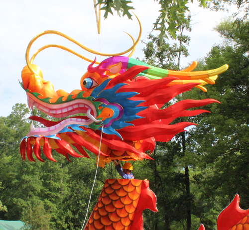 Putting the head on a 200' dragon at the Asian Lantern Festival at Cleveland Metroparks Zoo