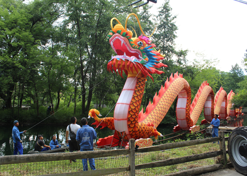 Putting the head on a 200' dragon at the Asian Lantern Festival at Cleveland Metroparks Zoo