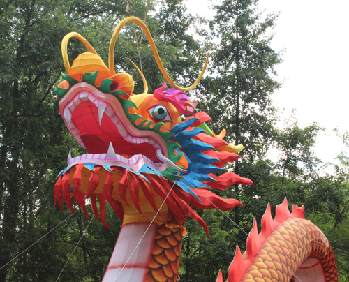 Putting the head on a 200' dragon at the Asian Lantern Festival at Cleveland Metroparks Zoo