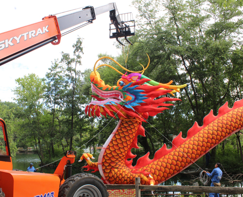 Putting the head on a 200' dragon at the Asian Lantern Festival at Cleveland Metroparks Zoo