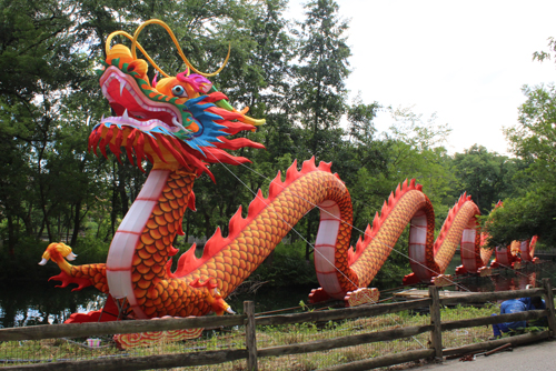 Putting the head on a 200' dragon at the Asian Lantern Festival at Cleveland Metroparks Zoo