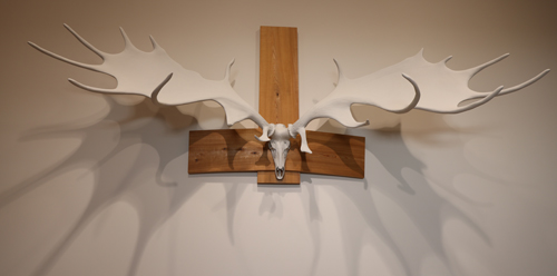 Hibernian Testosterone