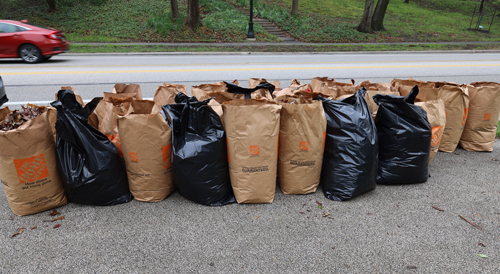 Debris from Cultural Gardens volunteers on Earth Day