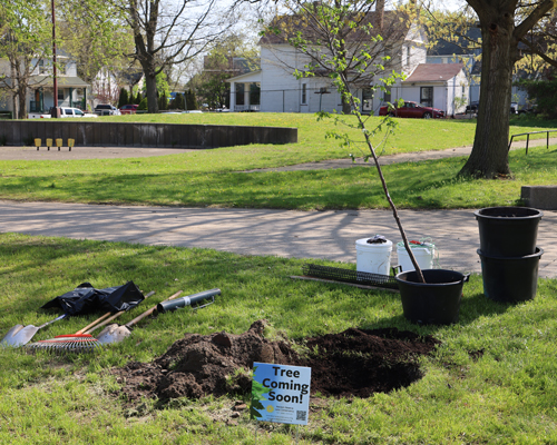 Planting trees on Arbor Day