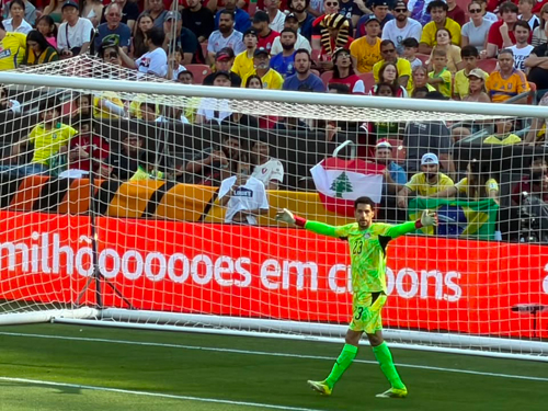 Brazil vs Egypt soccer