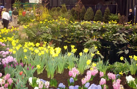 Swamp filled with flowers - Cleveland Home and Garden Show (2009) photos by Dan Hanson