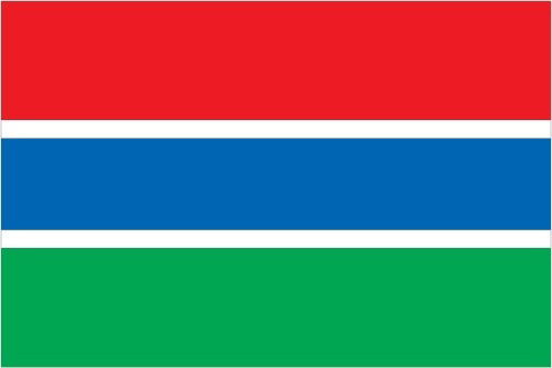 Flag of The Gambia