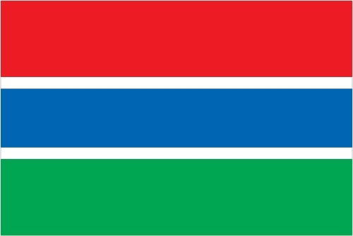 Flag of The Gambia