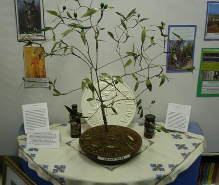 Olive tree from Greece at 2008 SS Constantine & Helen Greek Orthodox Cathedral Festival  (photos by Dan Hanson)