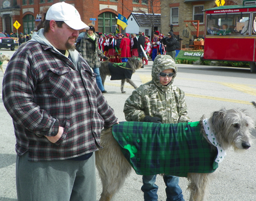 Irish wolfhound at the  2013 Cleveland St. Patrick's Day Parade